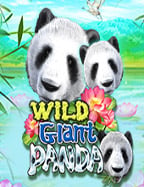 ความสนุกที่ไม่มีที่สิ้นสุดกับสล็อตโรม่าทดลองเล่นฟรี